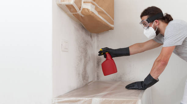 Professional Crawl Space Mold Remediation technician working in Mount Royal, NJ