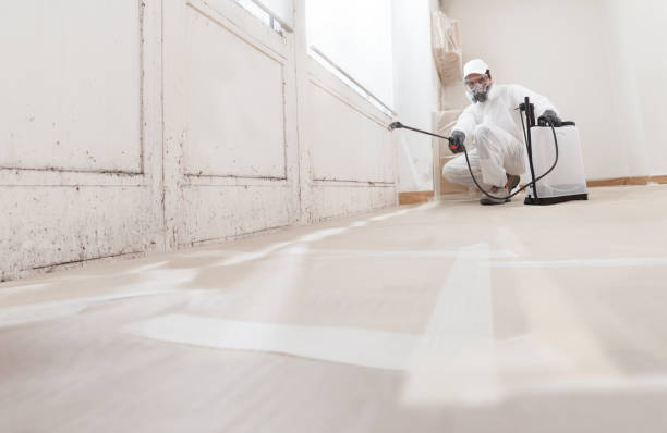 24/7 Emergency Crawl Space Mold Remediation experts in Mount Royal, NJ