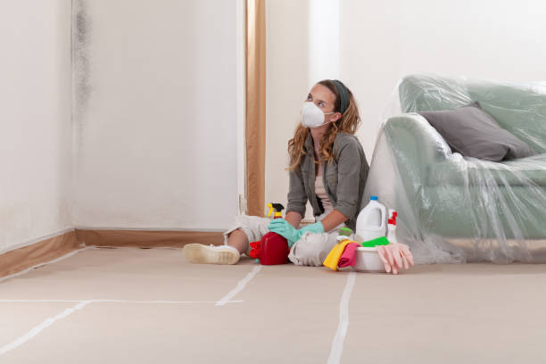 Reliable Crawl Space Mold Remediation contractor in Mount Royal, NJ by Car Mold Remediation