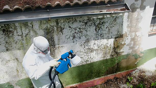 Top rated local Crawl Space Mold Remediation specialists in Mount Royal, NJ